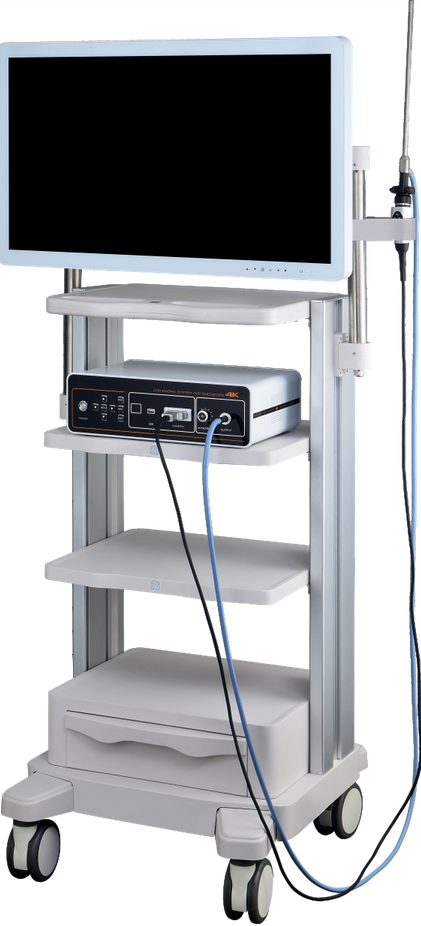 Endoone UHD Imaging System for Endoscopic