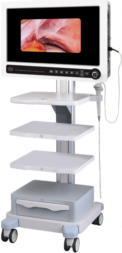 Endoone （integrate）Digital Endoscopic Image Processor