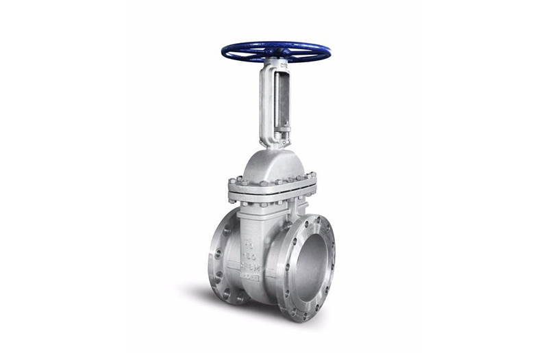 API600 Gate valve