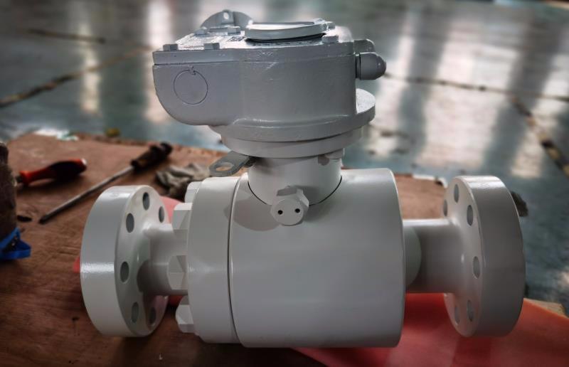 FV2 Floating Side Entry Ball Valve