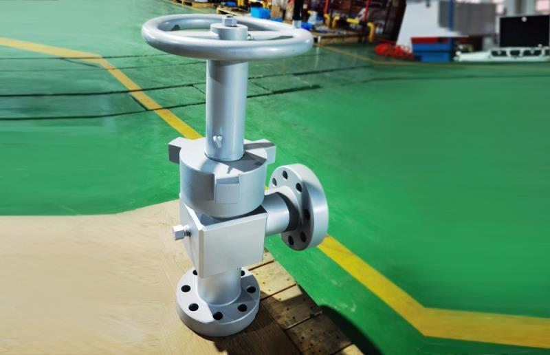 Plug & Cage Choke Valve