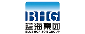 蓝海集团