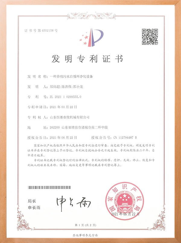 发明专利