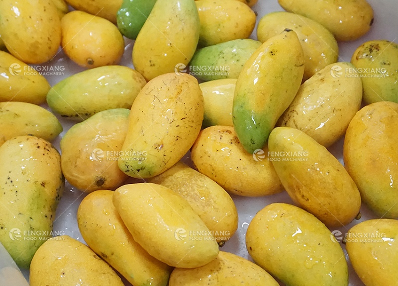  lavado de mango 