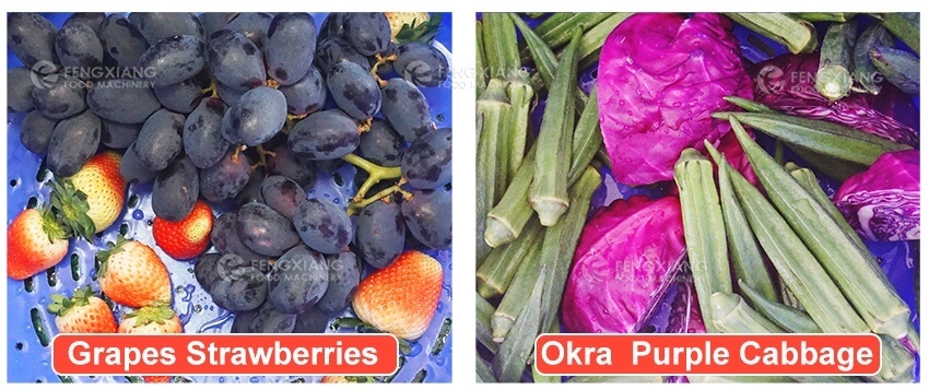  lavado y deshidratación de frutas 