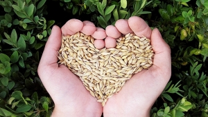 Día Mundial de la Alimentación - Derecho a los alimentos para una vida mejor y un futuro mejor