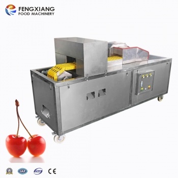 Машина для удаления косточек из слив Fengxiang CL-S