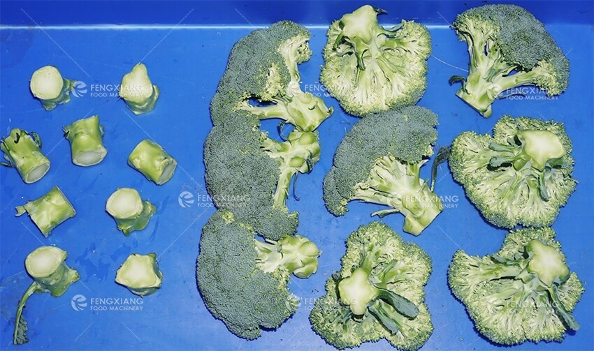 broccoli