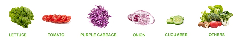 vegetable
