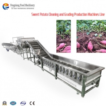 Máquina clasificadora y limpiadora de cebollas automática Fengxiang
máquina de lavado de cebollas
máquinas clasificadoras de cebollas
máquina clasificadora de cebollas