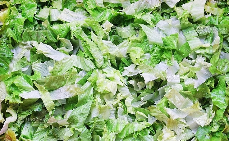 lettuce
