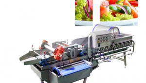 Más información sobre la lavadora de verduras multifunción tipo vórtice