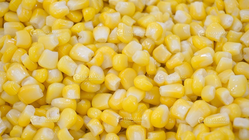  حبة ذرة حلوة 