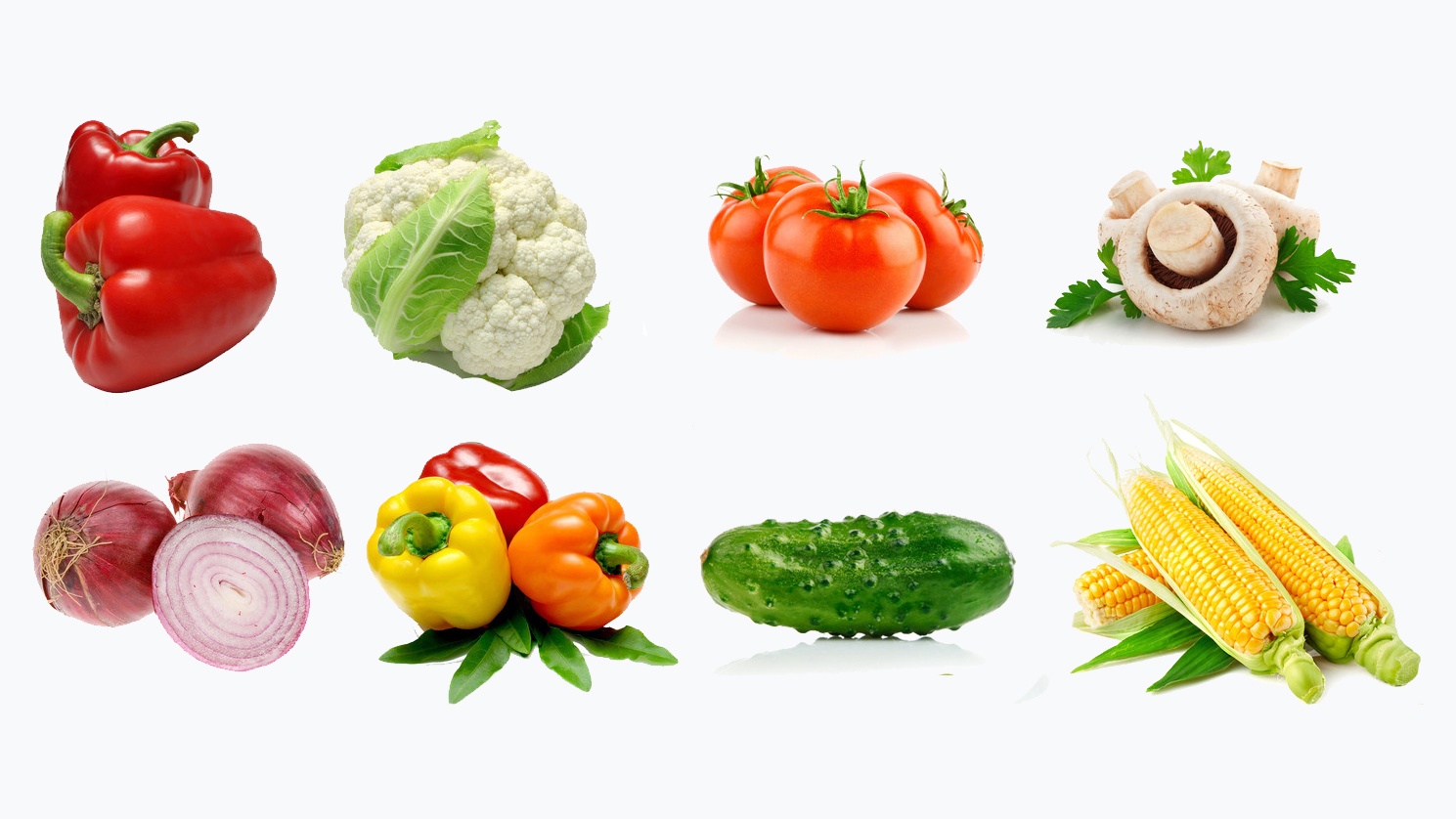 vegetable