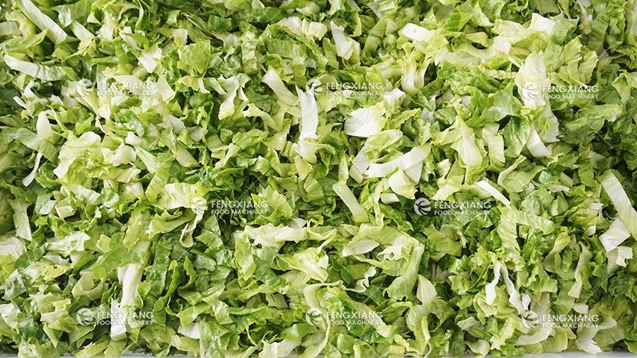 lettuce