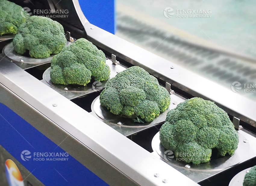 broccoli