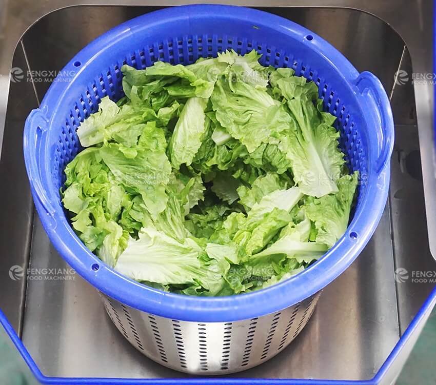  máquina deshidratadora de vegetales 