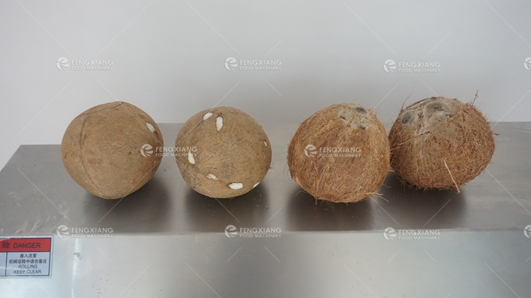 coconut