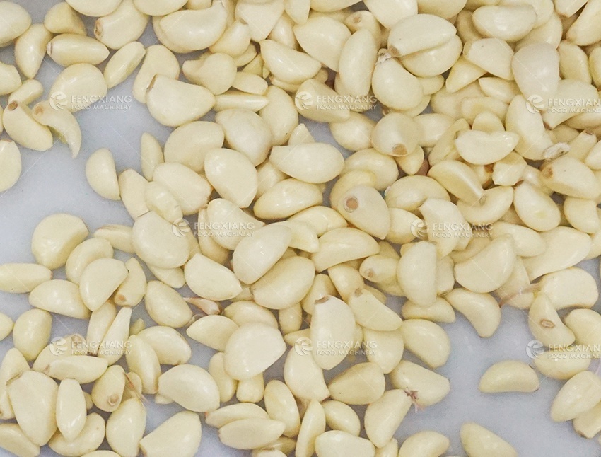  Máquina peladora de ajo 