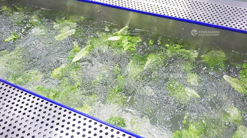  lavadora de vegetales 