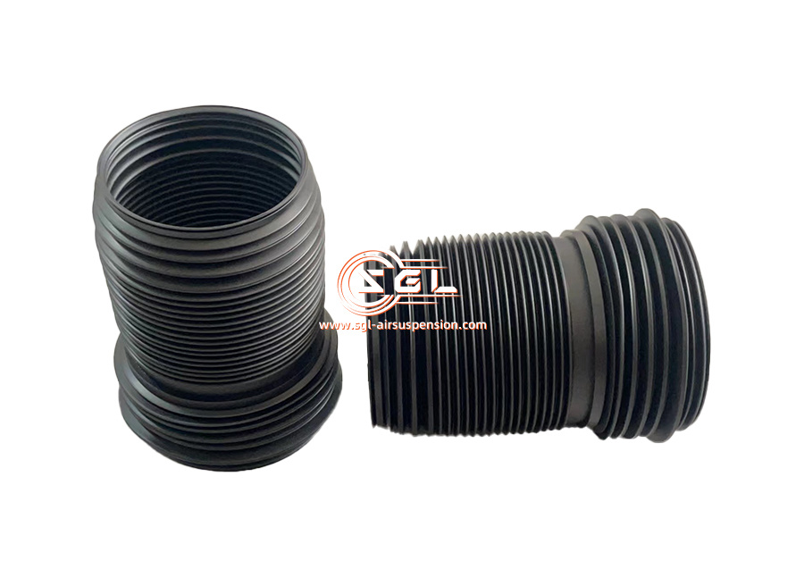 strut dust boot