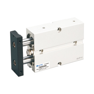TN  TD  Series Dual Rod Cylinder