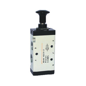 4L Series Valve