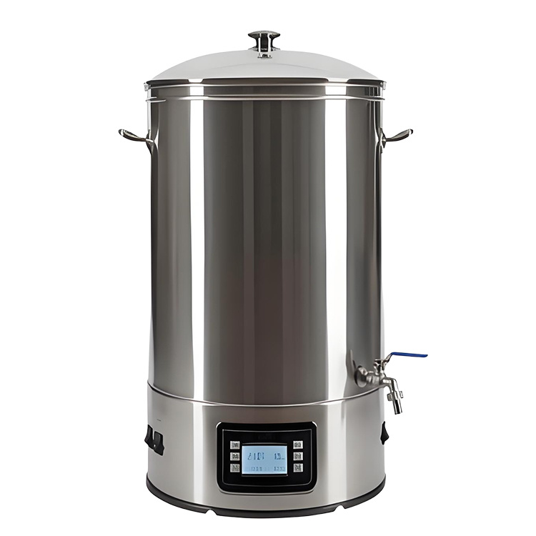 Single-layer dual switch electric water boiler