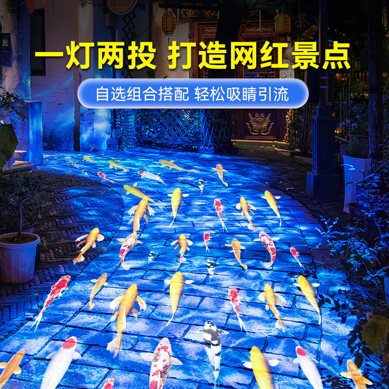 双头投影灯800