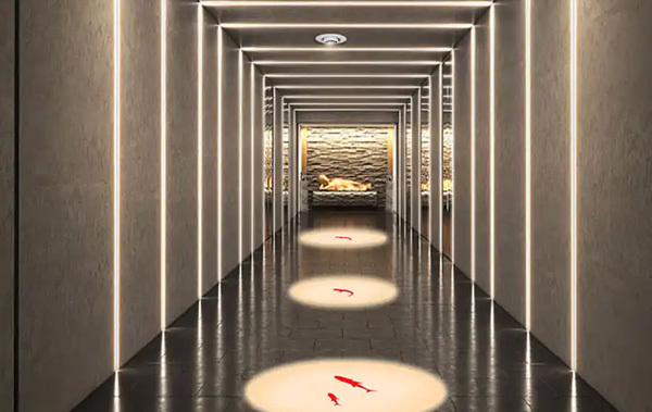 Home Ambiance Projection