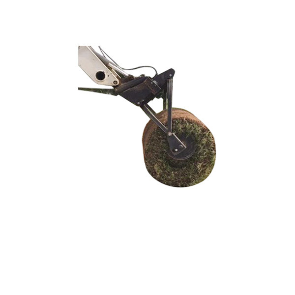 Lawn paver