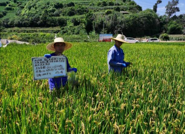 云南省富民縣