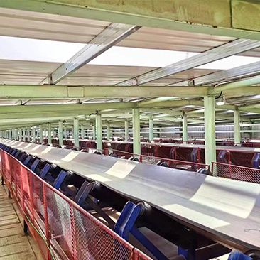 The Evolution of Industrial Conveyor Systems