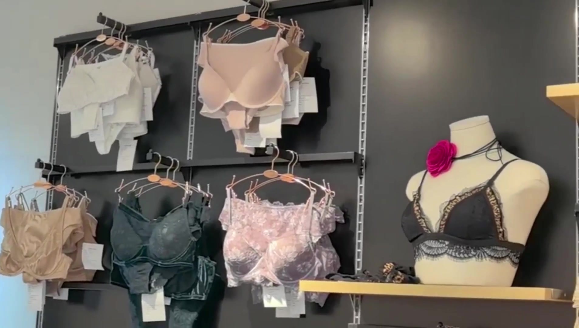 showroom showroom