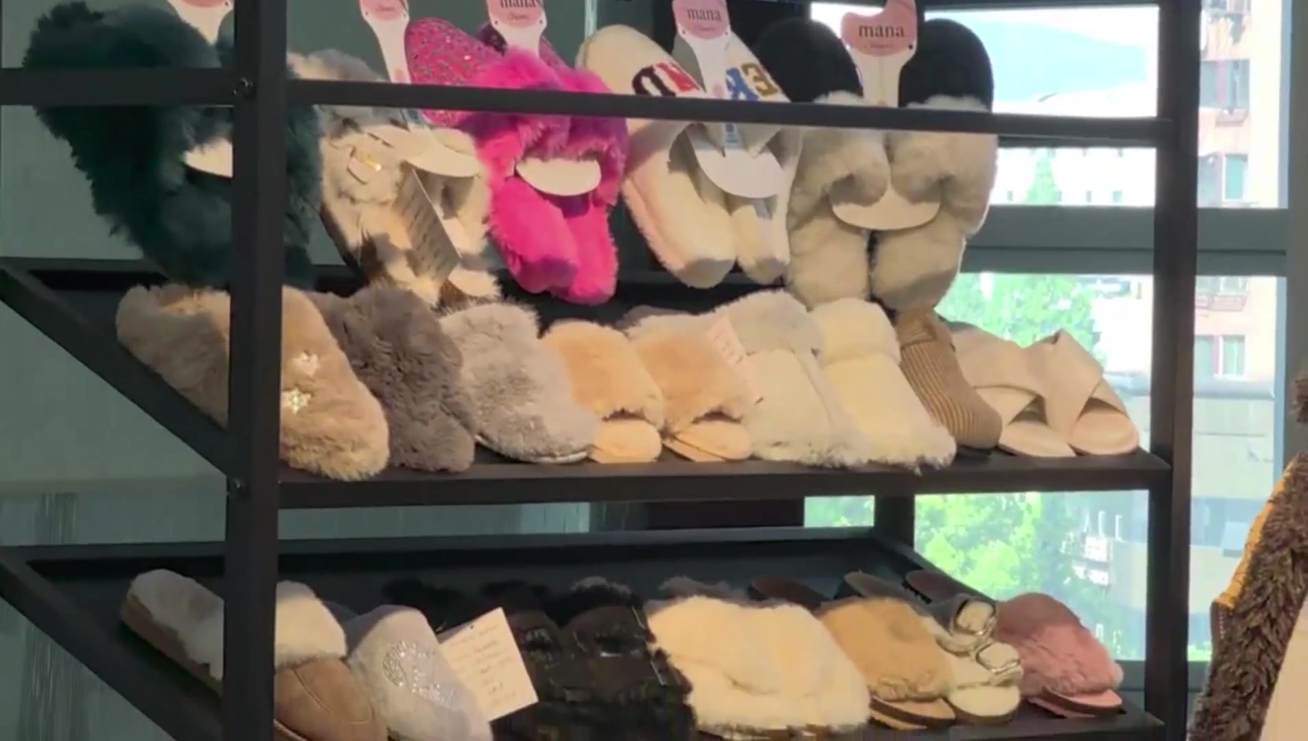 showroom showroom