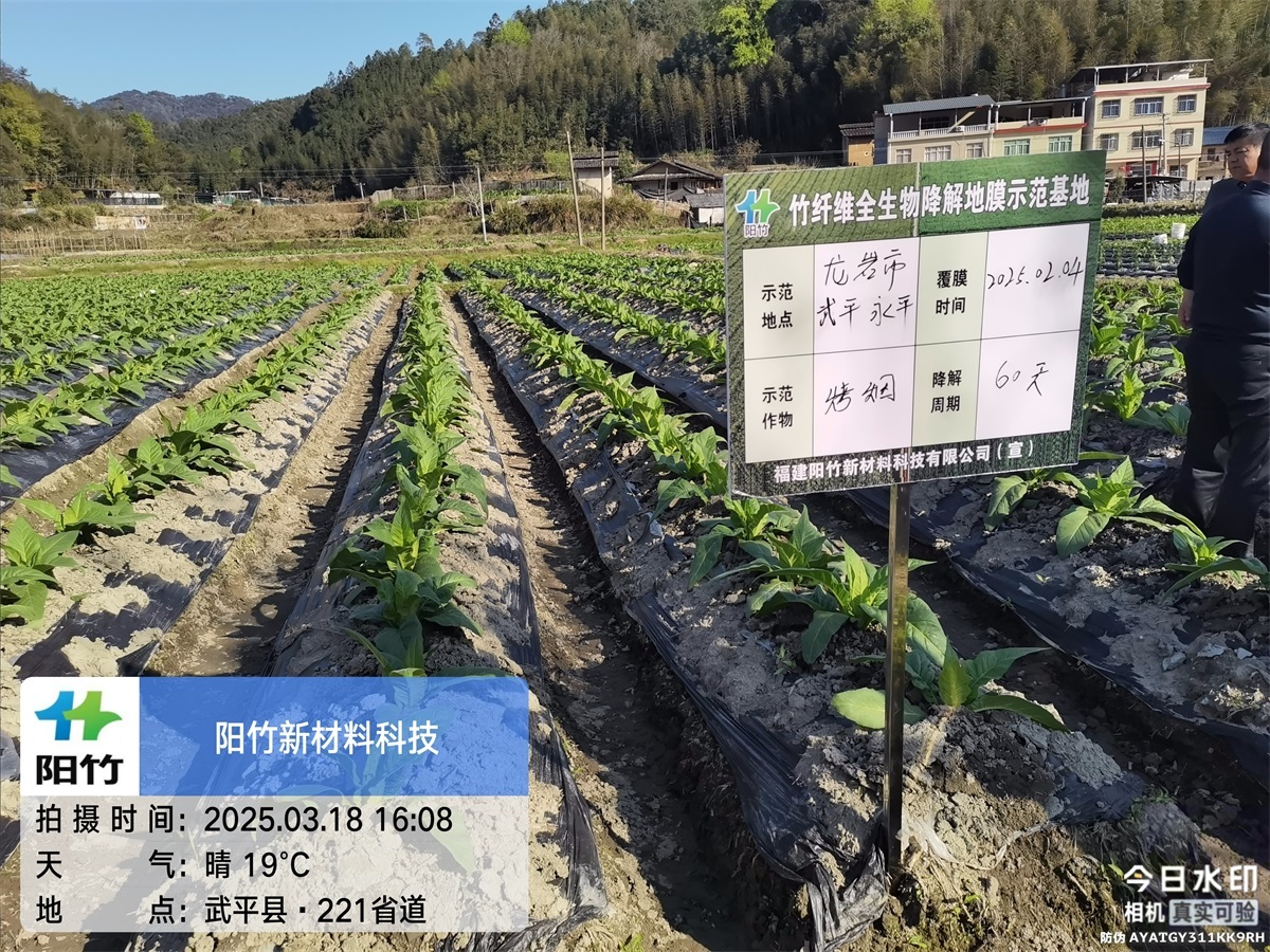 武平永平60天
