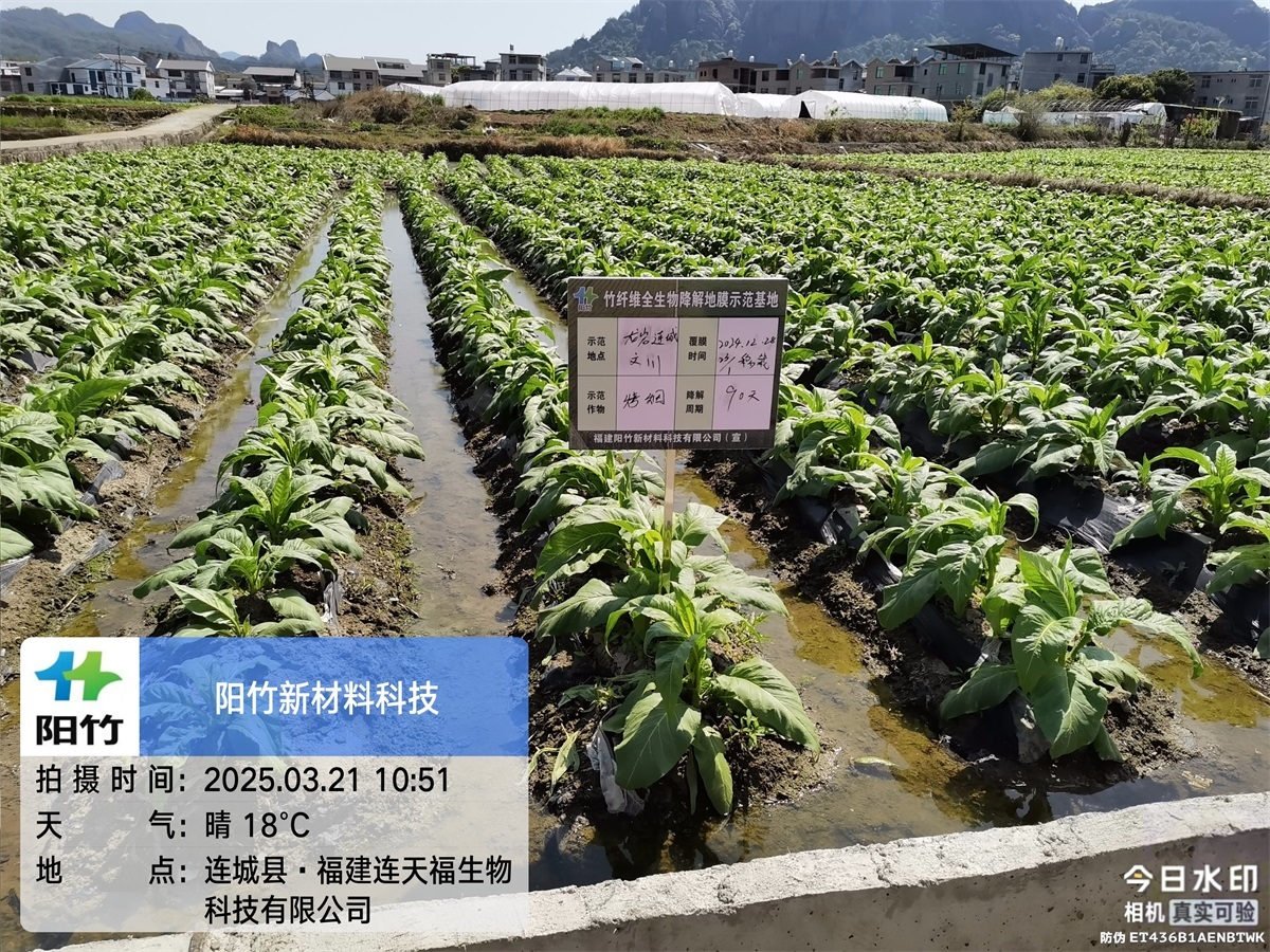 连城文川90天