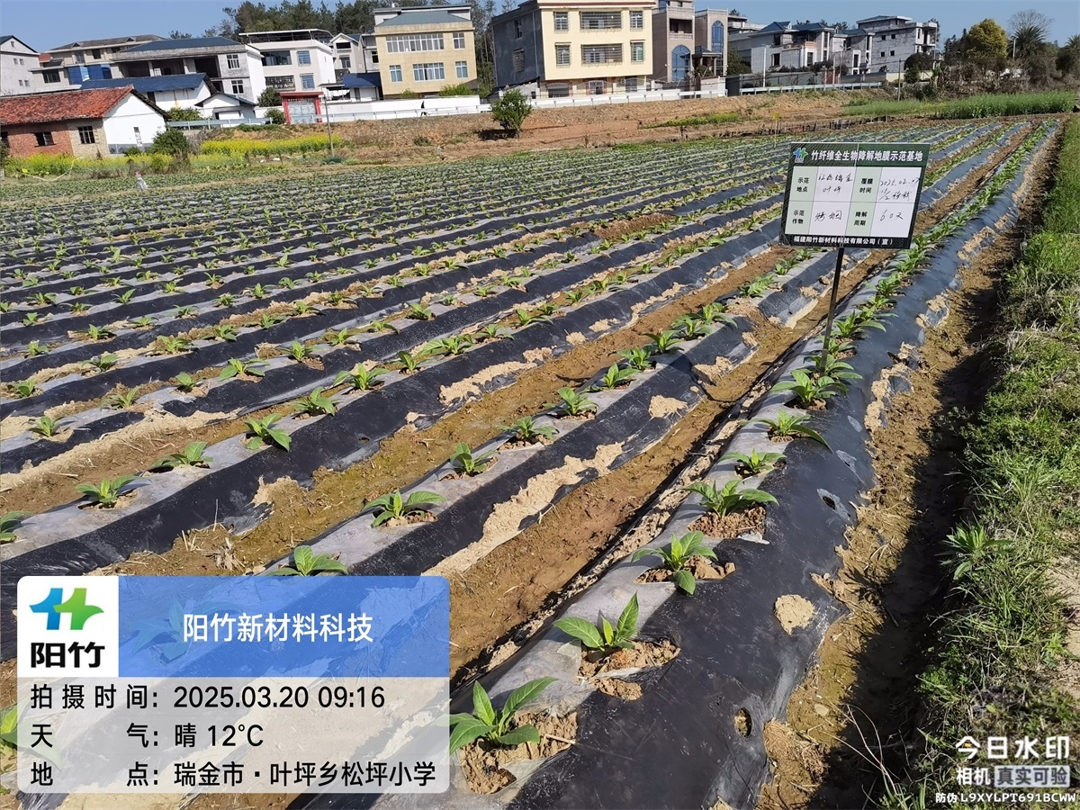 瑞金叶坪60天