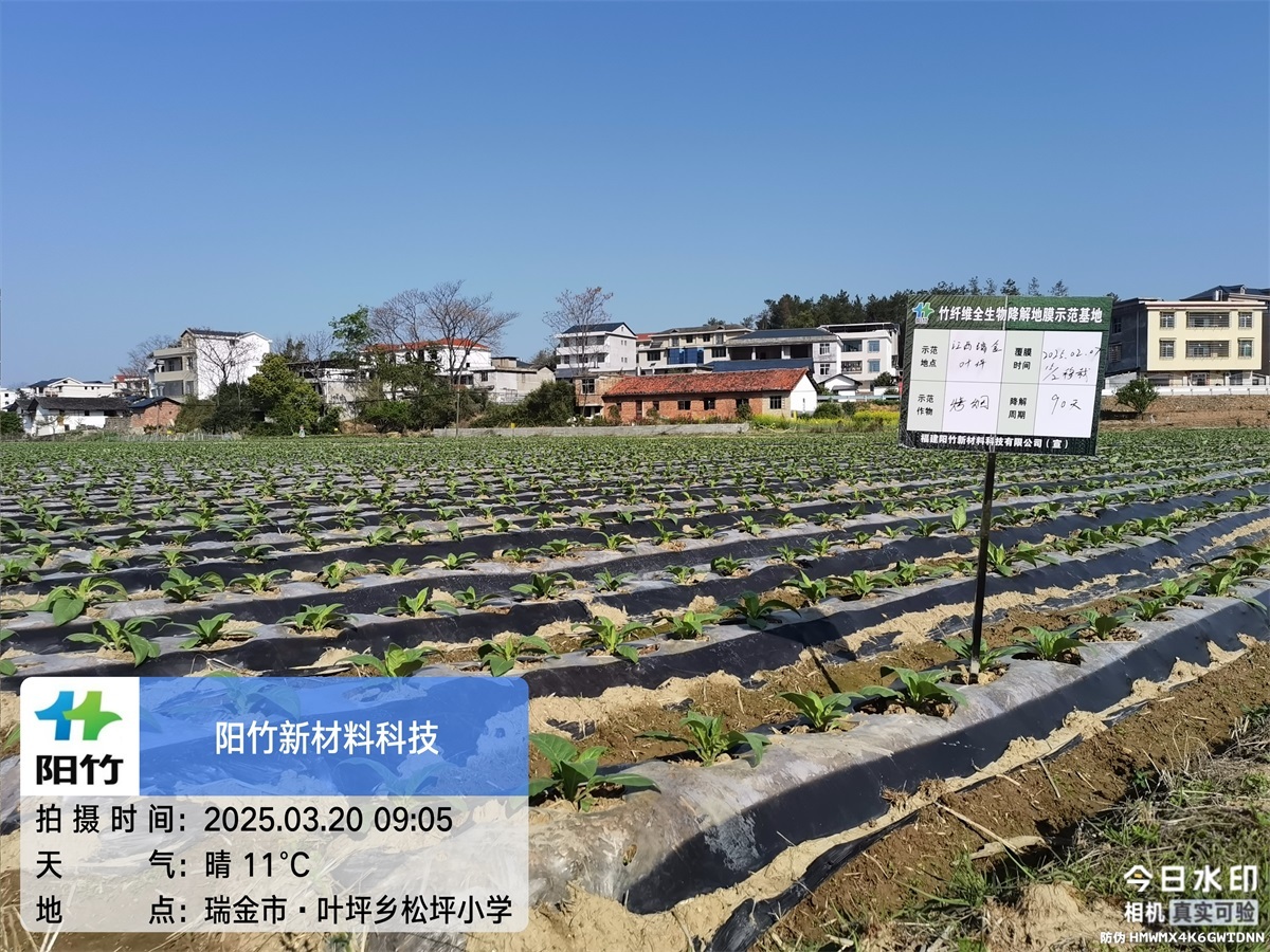 瑞金叶坪90天