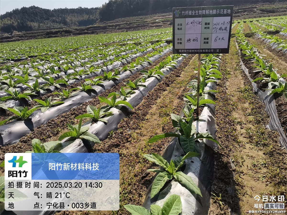 三明宁化60天