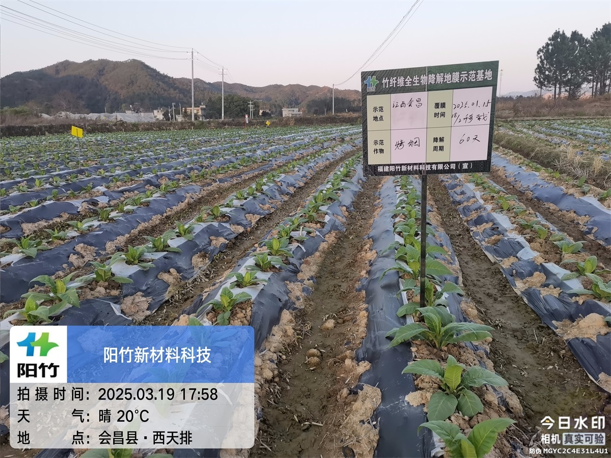 江西会昌60天