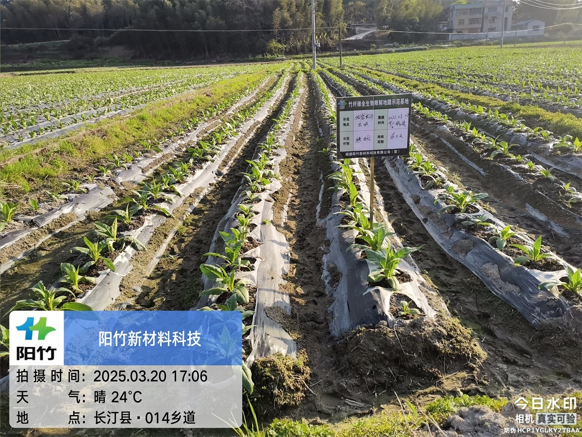 长汀古城60天