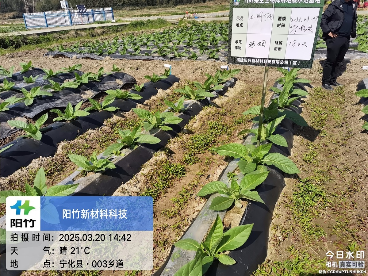 三明宁化180天