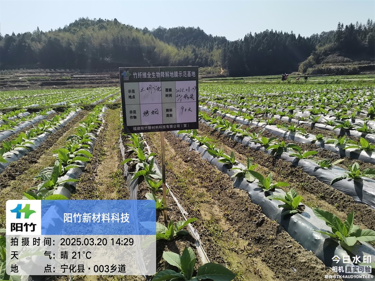 三明宁化90天