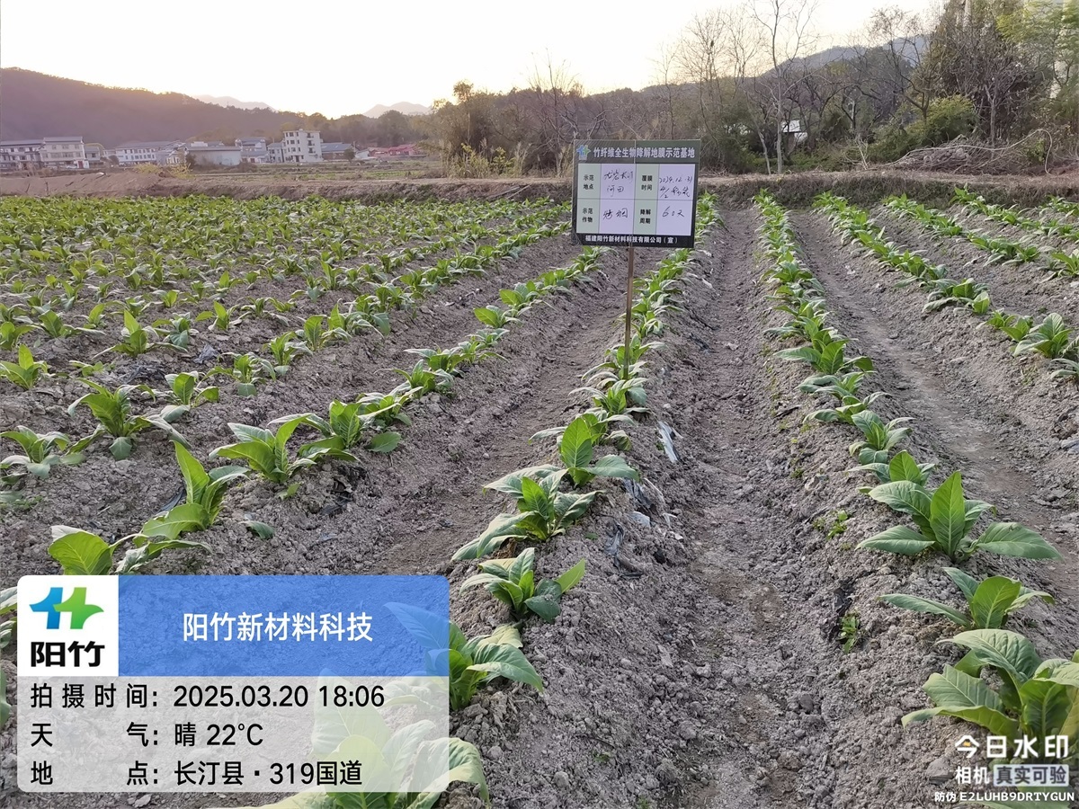 长汀河田60天
