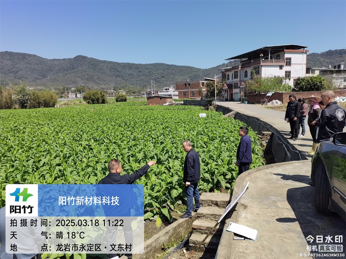 永定文溪60天