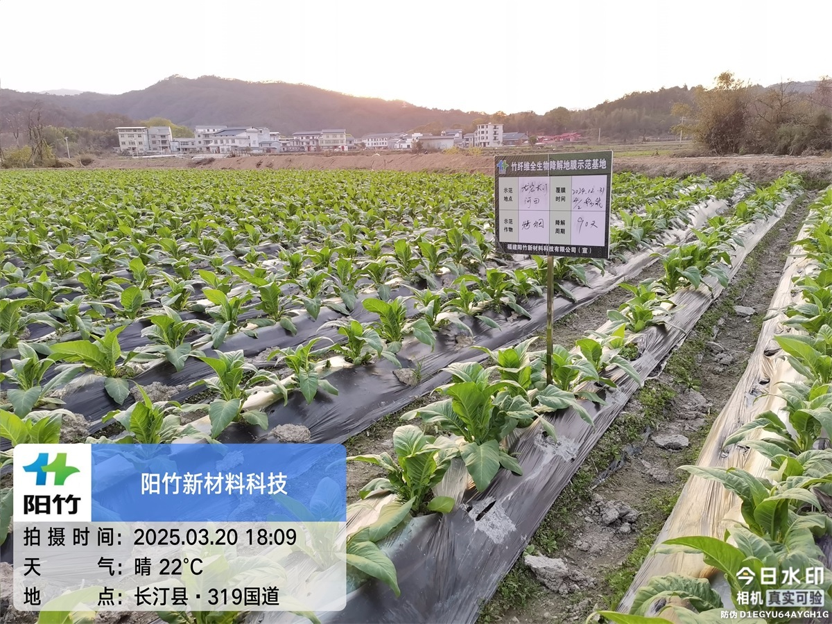 长汀河田90天