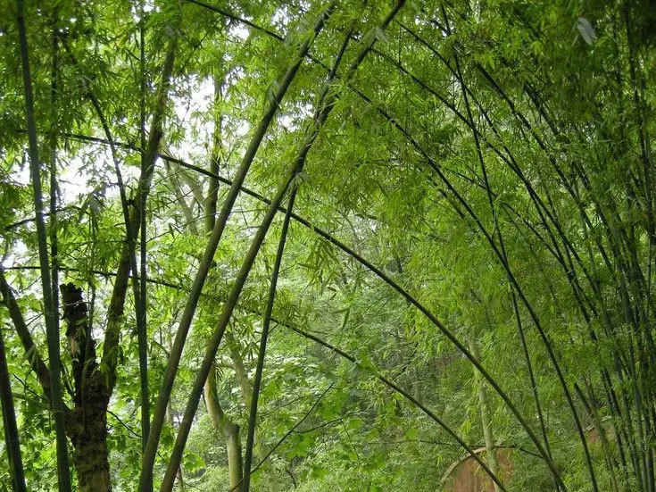 环境保护的意义是什么