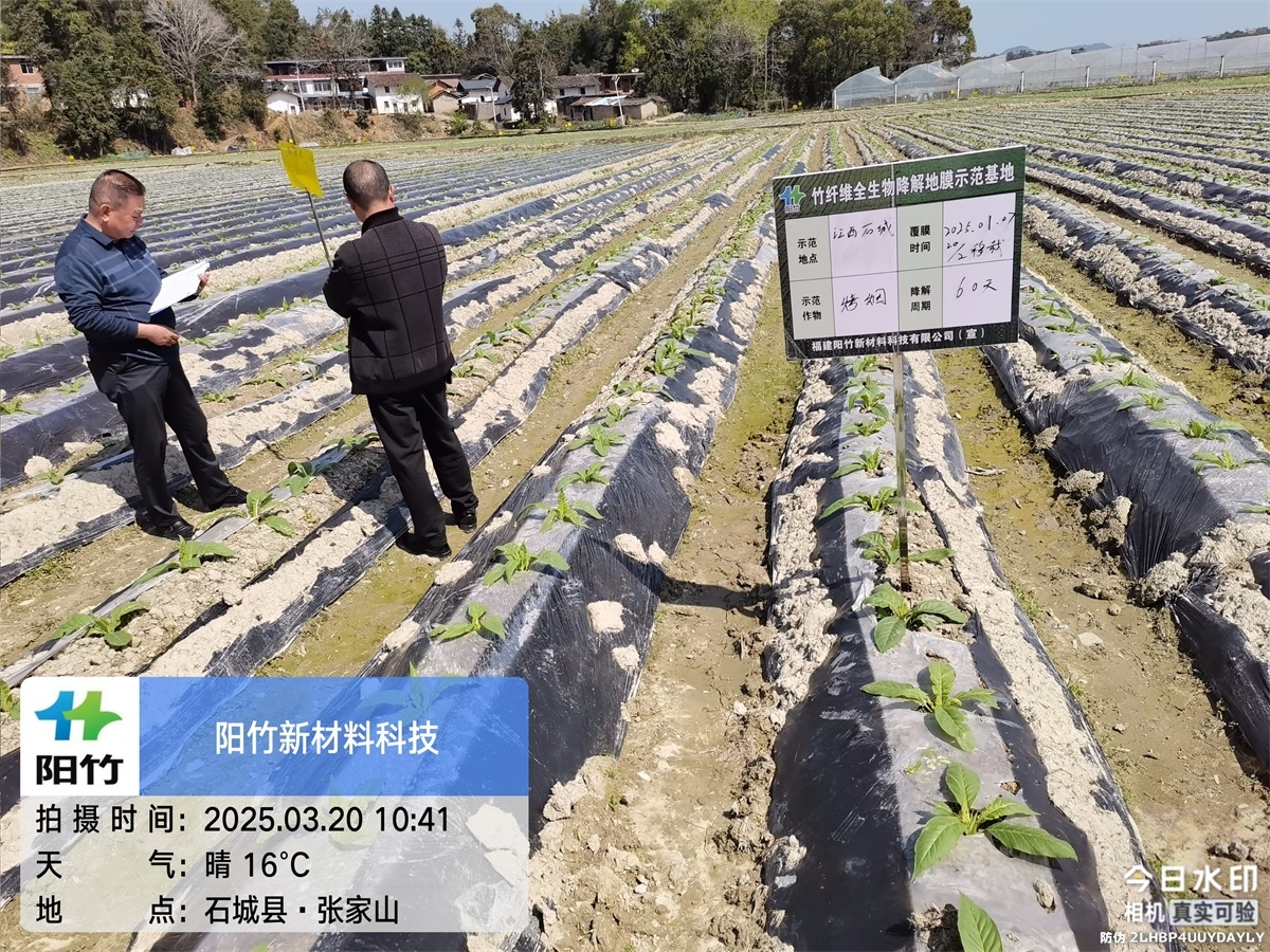 江西石城60天