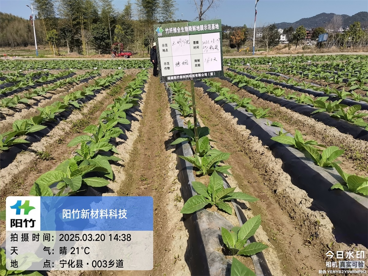 三明宁化150天